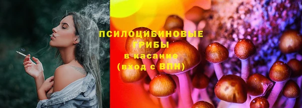 твердый Покровск