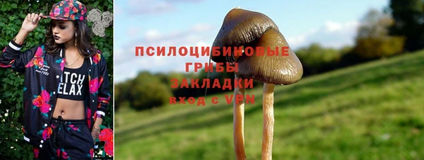 твердый Покровск