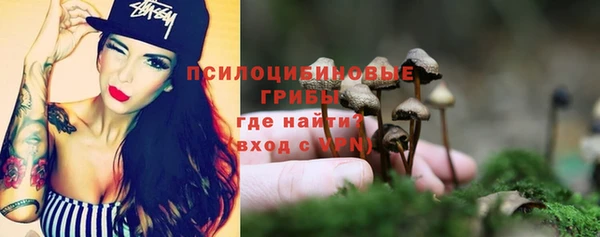 дурь Покачи