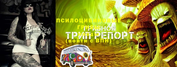твердый Покровск