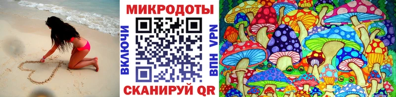 как найти наркотики  Волоколамск  Псилоцибиновые грибы Psilocybine cubensis 