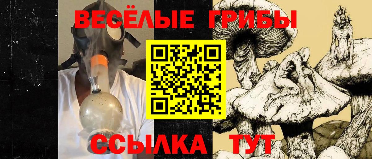 Галлюциногенные грибы Cubensis  Вход с VPN  Волоколамск  Галлюциногенные грибы Cubensis 